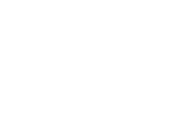 Brabantse Delta