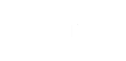 Stedin Logo