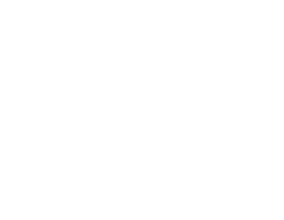 TNO-2